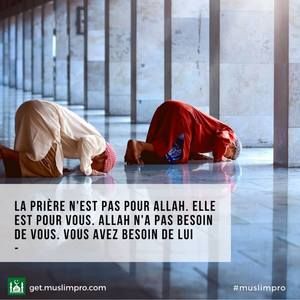 Meet your Posher, Iman